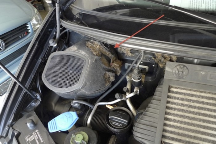 beschädigtes Dämmaterial im VW Bus T4 Motorraum nach Motorwäsche