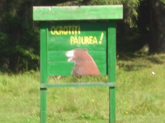Schutzwald in Rumänien
